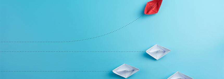 Family Business Transition Planning