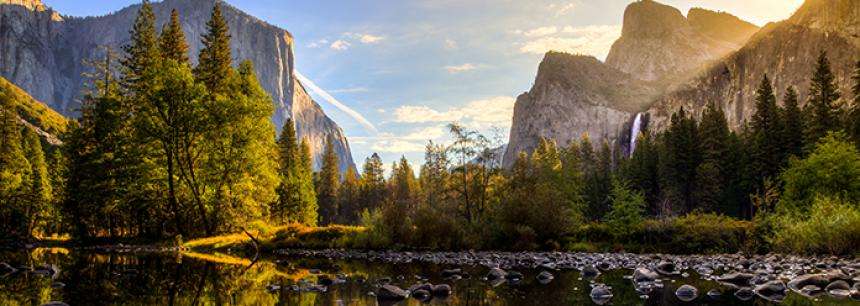 Environmental Studies & Community Consultation Tax Credits