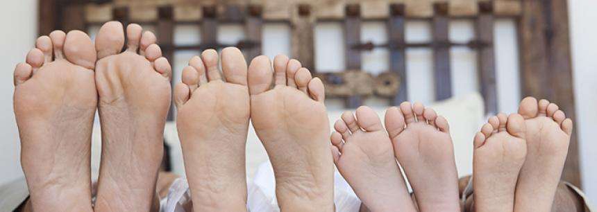 Planning the Transition Phase between generations – Part 2