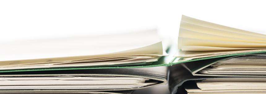 New Reporting Requirements for Foreign Owned Disregarded Entities
